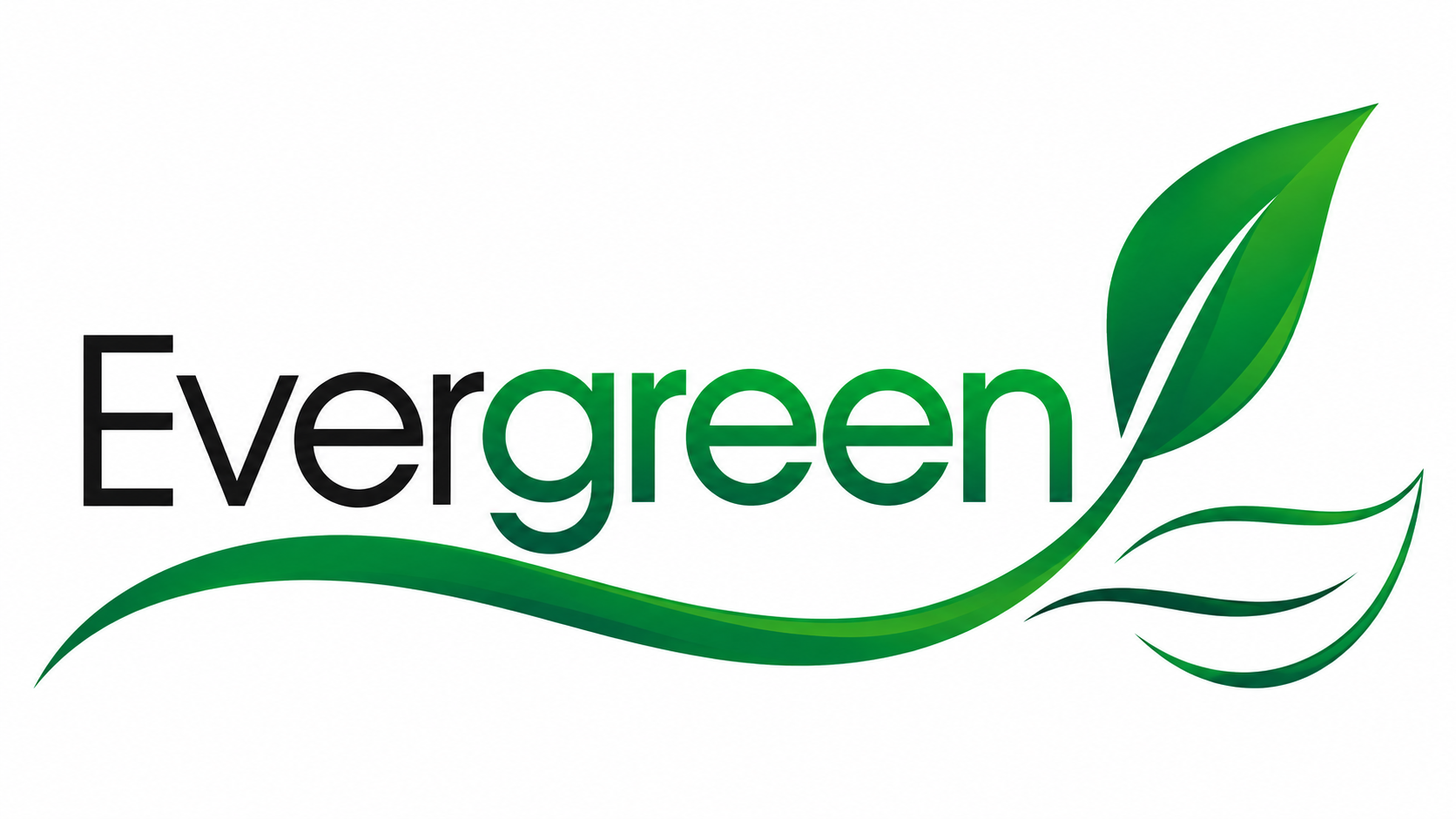 Evergreen Bags logo